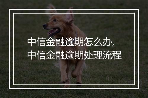 中信金融逾期怎么办,中信金融逾期处理流程