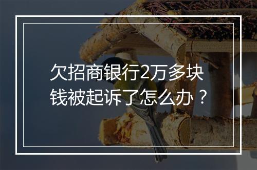 欠招商银行2万多块钱被起诉了怎么办？