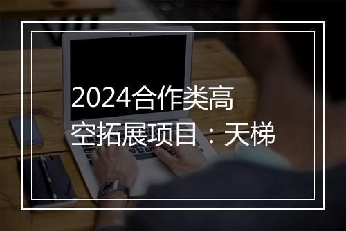 2024合作类高空拓展项目：天梯