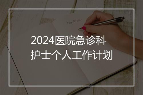 2024医院急诊科护士个人工作计划