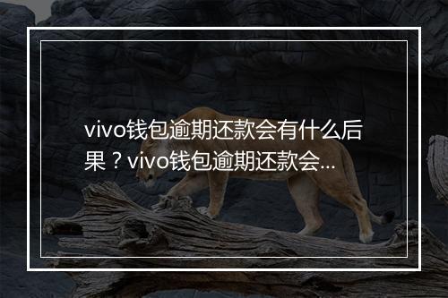 vivo钱包逾期还款会有什么后果？vivo钱包逾期还款会被追究法律责任吗？