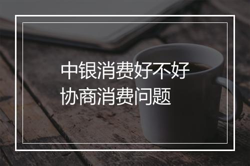 中银消费好不好协商消费问题