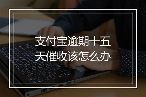 支付宝逾期十五天催收该怎么办