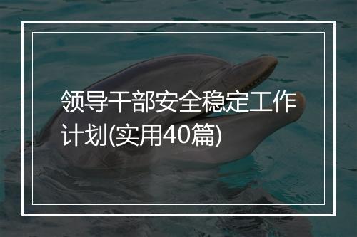 领导干部安全稳定工作计划(实用40篇)