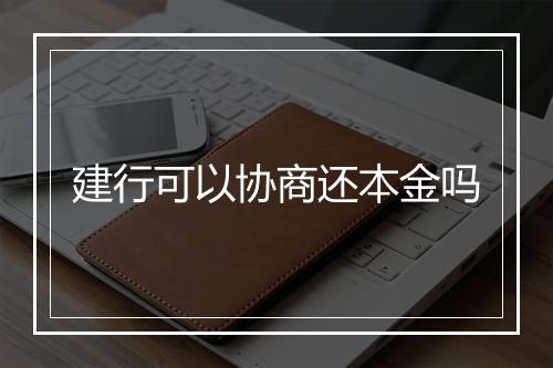 建行可以协商还本金吗