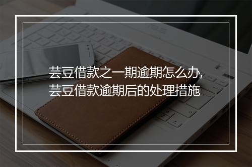 芸豆借款之一期逾期怎么办,芸豆借款逾期后的处理措施