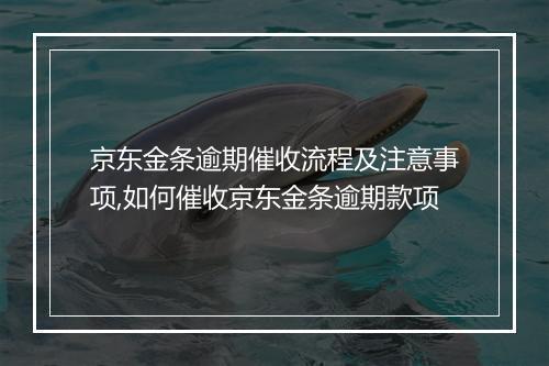京东金条逾期催收流程及注意事项,如何催收京东金条逾期款项