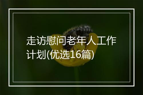 走访慰问老年人工作计划(优选16篇)