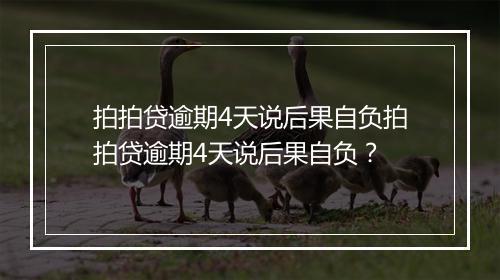 拍拍贷逾期4天说后果自负拍拍贷逾期4天说后果自负？