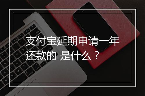支付宝延期申请一年还款的 是什么？