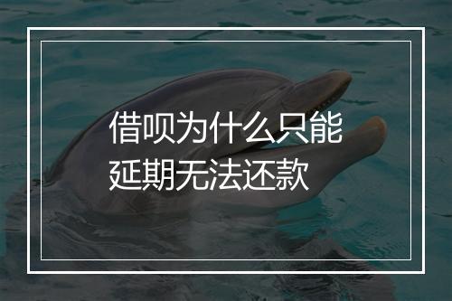 借呗为什么只能延期无法还款
