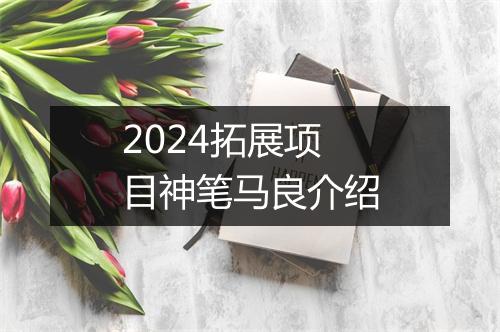 2024拓展项目神笔马良介绍