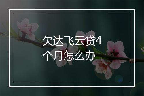 欠达飞云贷4个月怎么办