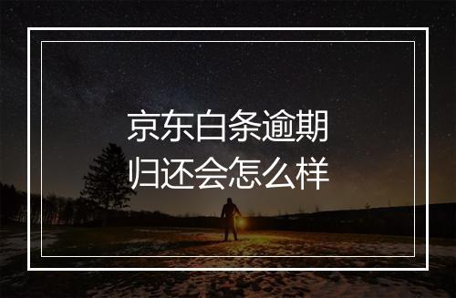京东白条逾期归还会怎么样
