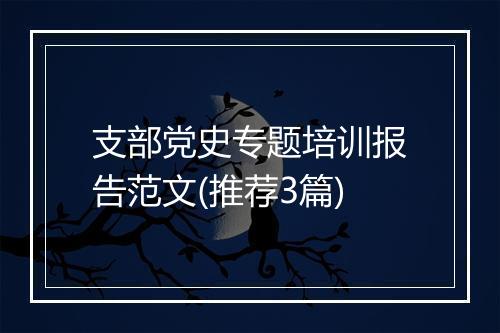 支部党史专题培训报告范文(推荐3篇)