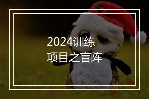 2024训练项目之盲阵