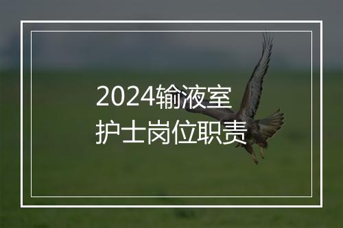 2024输液室护士岗位职责