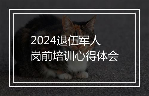 2024退伍军人岗前培训心得体会