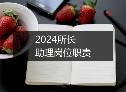 2024所长助理岗位职责