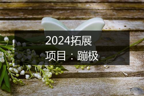 2024拓展项目：蹦极