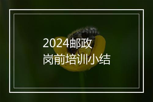 2024邮政岗前培训小结