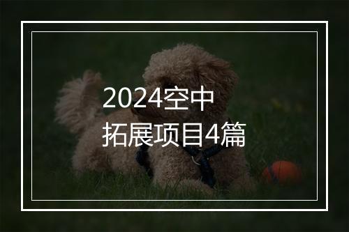 2024空中拓展项目4篇