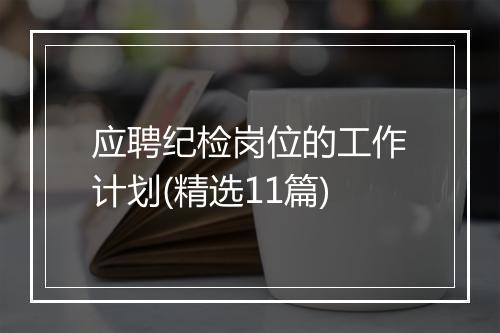 应聘纪检岗位的工作计划(精选11篇)