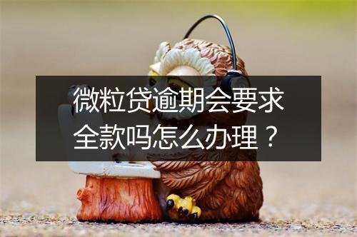 微粒贷逾期会要求全款吗怎么办理？