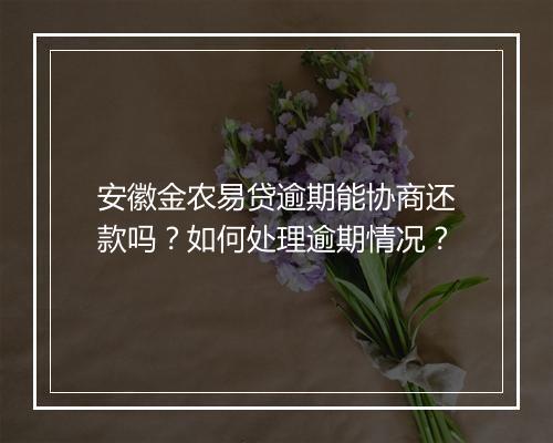 安徽金农易贷逾期能协商还款吗？如何处理逾期情况？