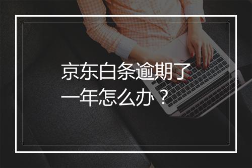 京东白条逾期了一年怎么办？