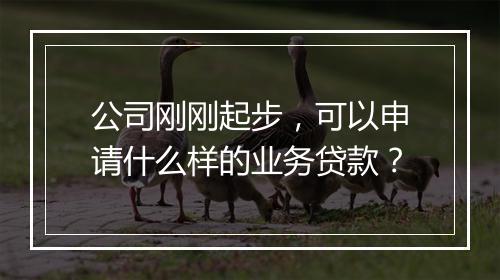 公司刚刚起步，可以申请什么样的业务贷款？
