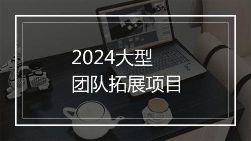 2024大型团队拓展项目