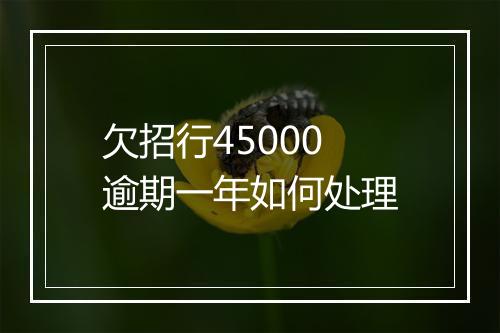 欠招行45000逾期一年如何处理