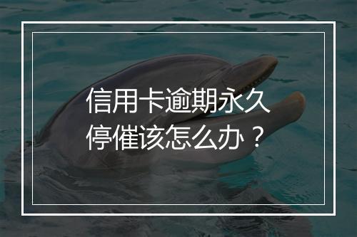 信用卡逾期永久停催该怎么办？