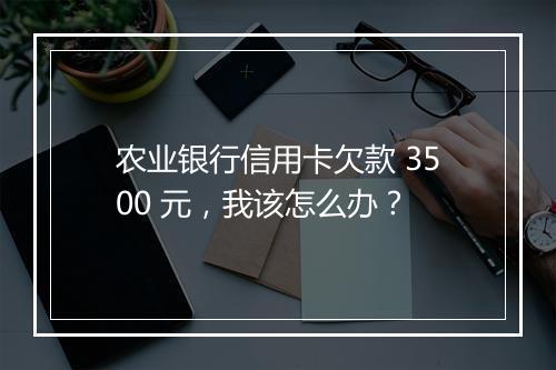 农业银行信用卡欠款 3500 元，我该怎么办？