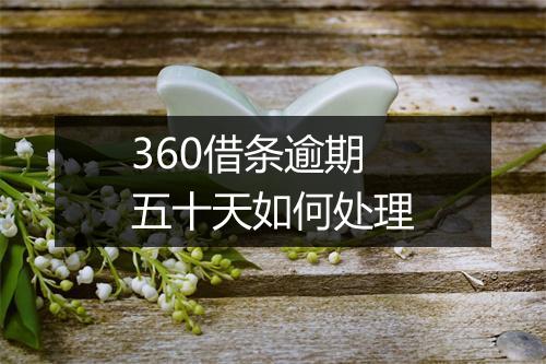 360借条逾期五十天如何处理