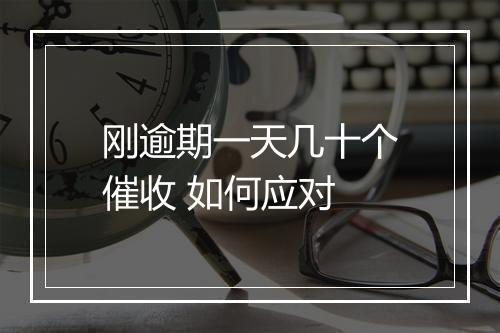 刚逾期一天几十个催收 如何应对