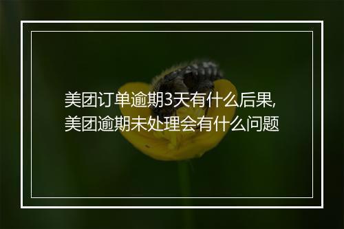 美团订单逾期3天有什么后果,美团逾期未处理会有什么问题