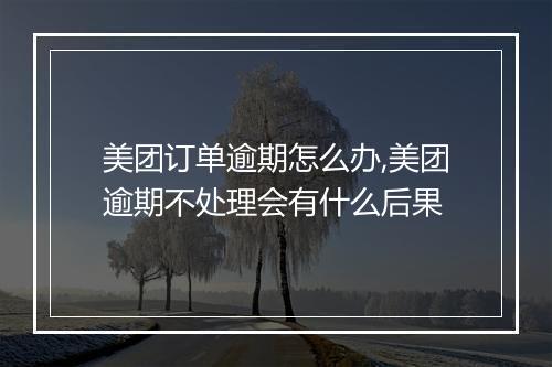 美团订单逾期怎么办,美团逾期不处理会有什么后果