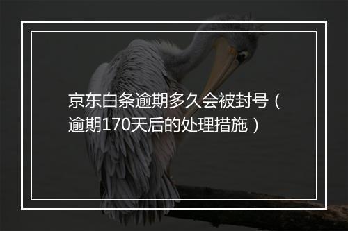 京东白条逾期多久会被封号（逾期170天后的处理措施）