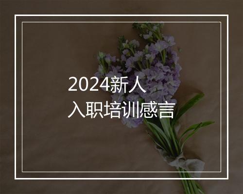 2024新人入职培训感言