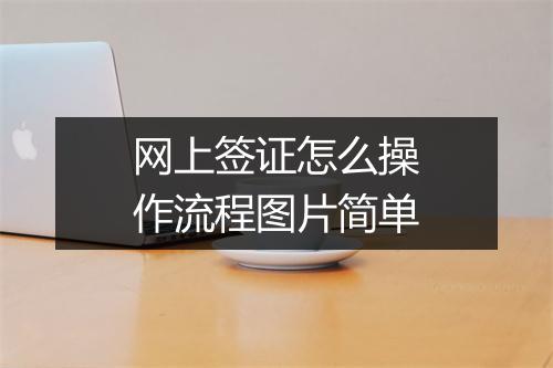 网上签证怎么操作流程图片简单