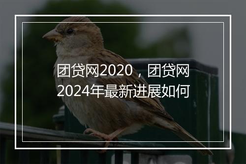 团贷网2020，团贷网2024年最新进展如何