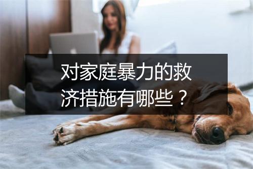 对家庭暴力的救济措施有哪些？
