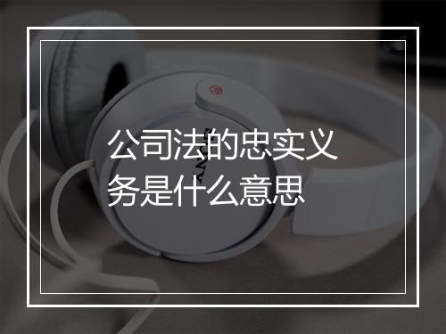 公司法的忠实义务是什么意思