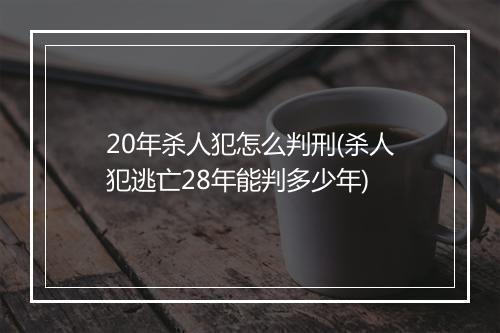 20年杀人犯怎么判刑(杀人犯逃亡28年能判多少年)