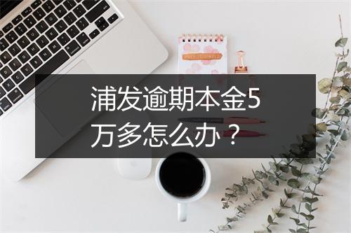 浦发逾期本金5万多怎么办？