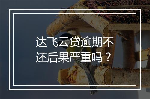 达飞云贷逾期不还后果严重吗？