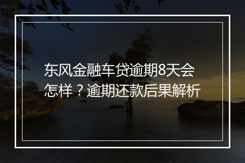 东风金融车贷逾期8天会怎样？逾期还款后果解析