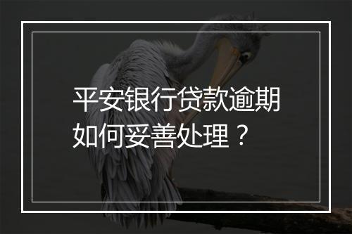 平安银行贷款逾期如何妥善处理？